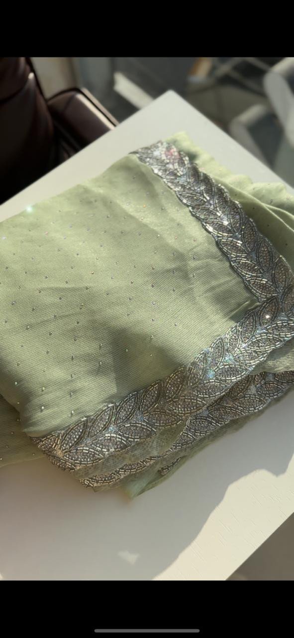 Tissue organza saree